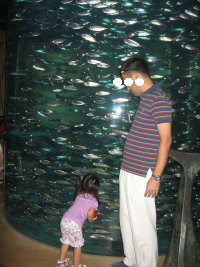 IMG_7226_a.jpg