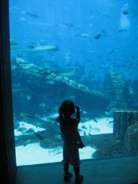 IMG_7236_1.JPG