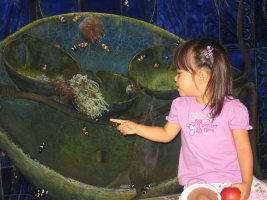 IMG_7247_1.JPG
