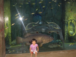 IMG_7251_1.JPG